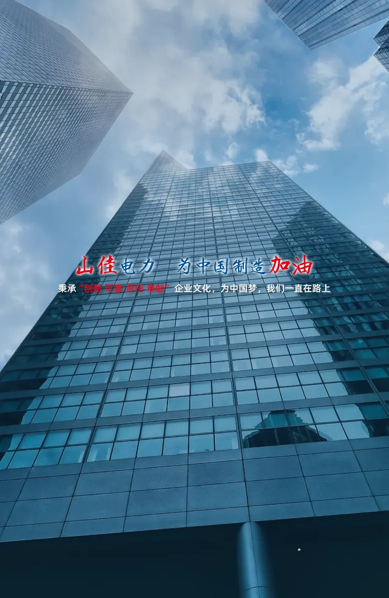 浙江山佳电力设备有限公司